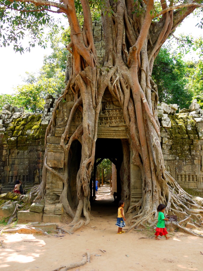 Third eastern Gopura (entrance) to Ta Som temple with strangling Fig - Siem Reap, Cambodia (18